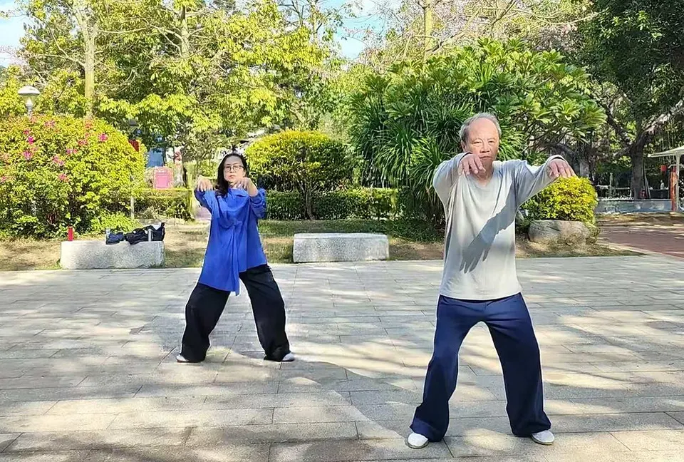 Stop Adding What Is Not Needed: Tai Chi for Ease, Clarity and Inner Control