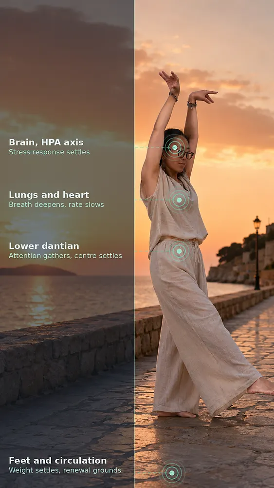 The Gentle Detox Through Tai Chi