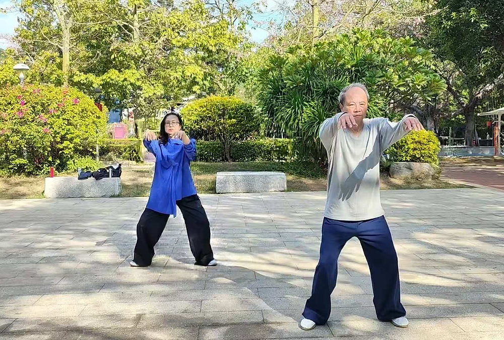 Stop Adding What Is Not Needed: Tai Chi for Ease, Clarity and Inner Control
