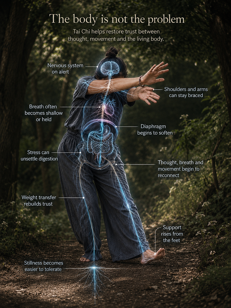 The Body Is Not the Problem